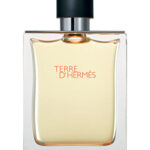 Terre d'Hermès Hermès for men 100ML