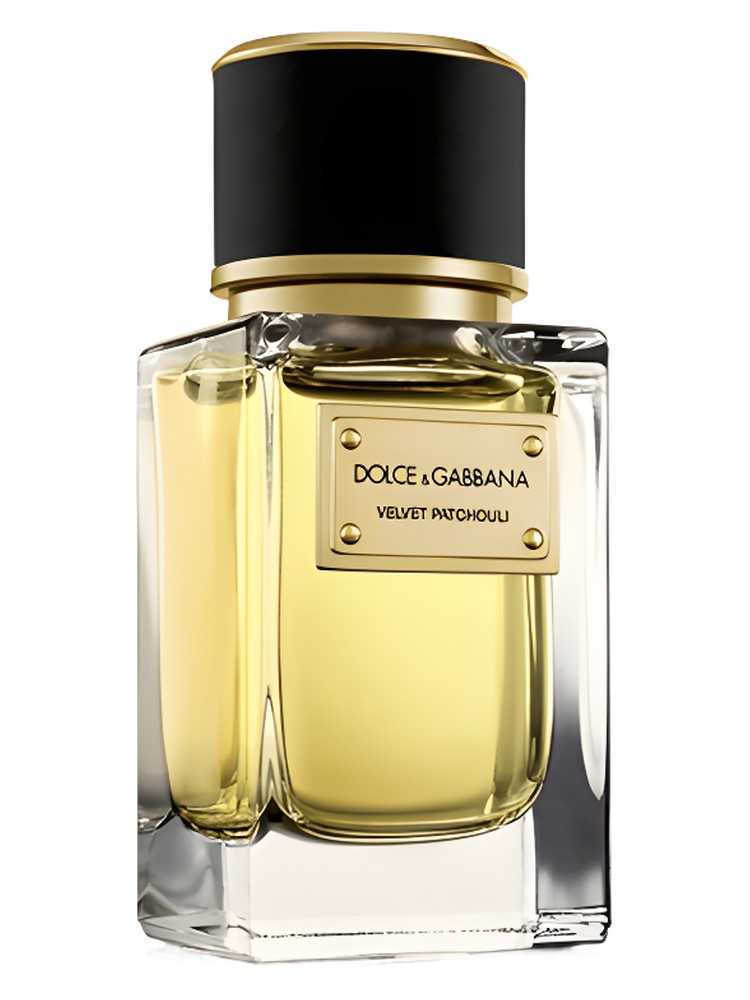 375x500.13744.2x.jpg Velvet Patchouli Dolce&Gabbana for women and men 100ML - Image 1