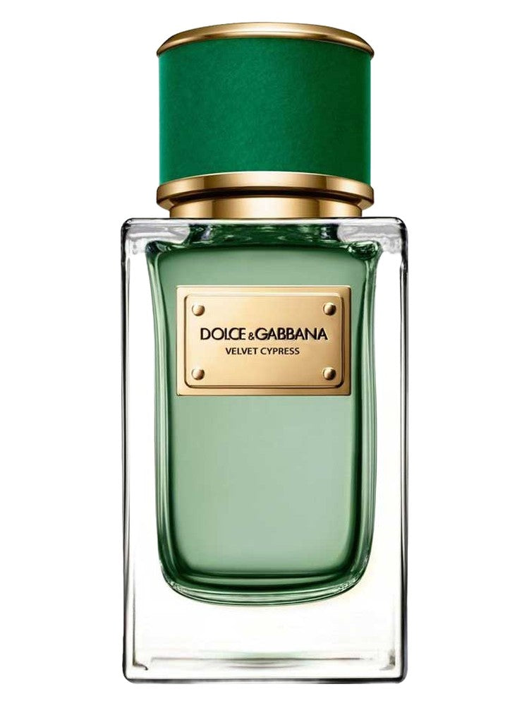 375x500.42825.2x.jpg Velvet Cypress Dolce&Gabbana for women and men 100ML - Image 1